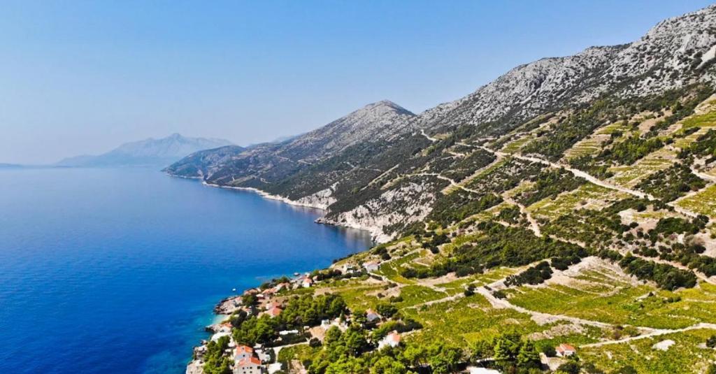 Sreser Domus Nostrae - Peljesac 1 Экстерьер фото